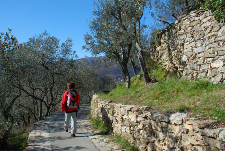 domenica-viii-giornata-nazionale-del-camminare