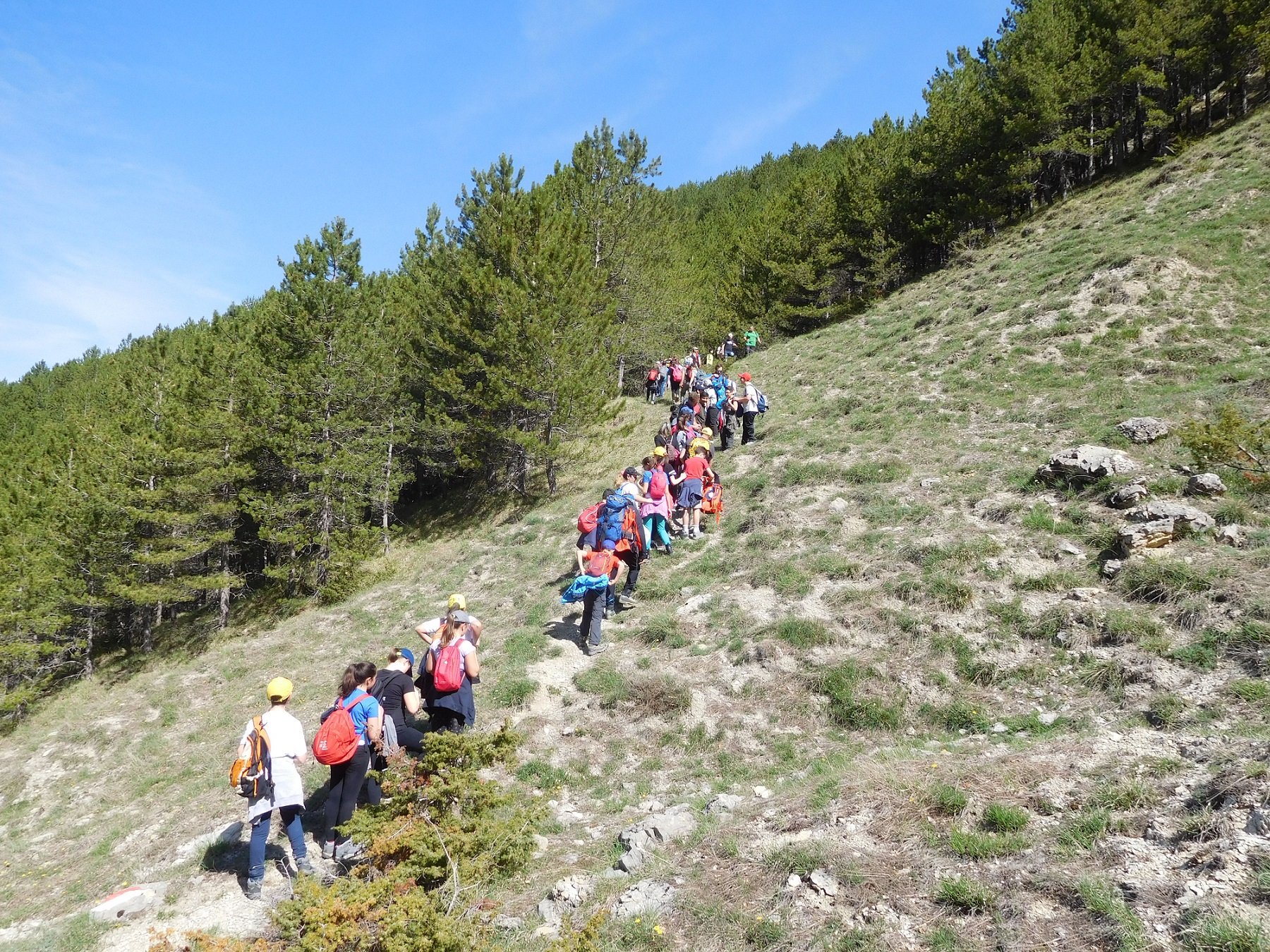 educazione-ambientale-i-progetti-del-cai-vincono-il-bando-del-ministero-dellambiente