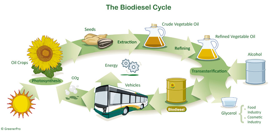 biodiesel-crescita-esponenziale-in-italia