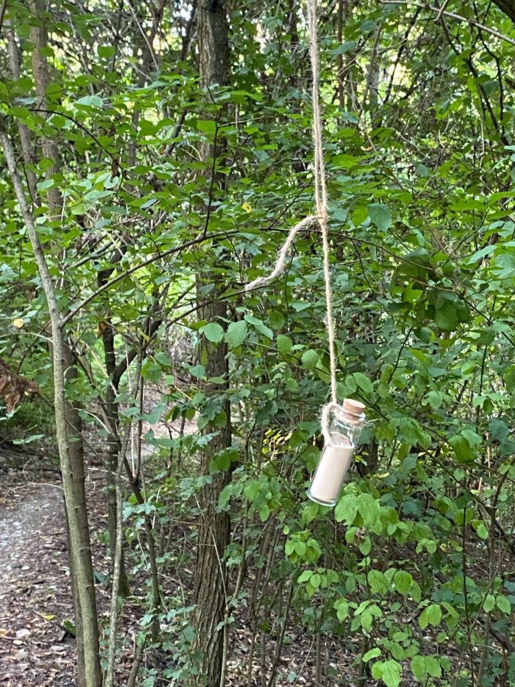 alla-scoperta-degli-alberi-parlanti-nel-parco-naturale-boschi-di-carrega-pr