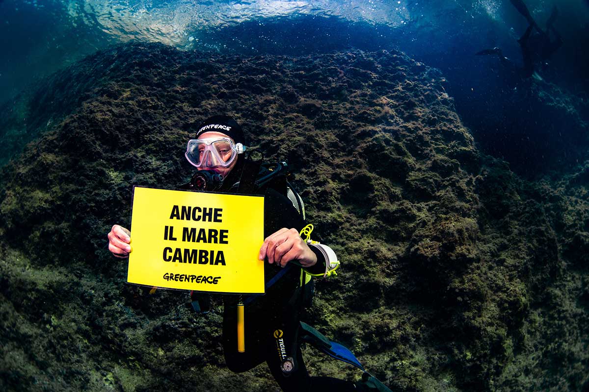 greenpeace-implentato-il-progetto-mare-caldo