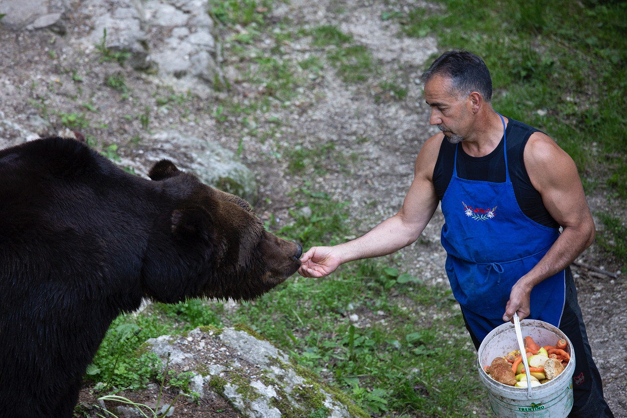 val-di-non-storia-di-amicizia-tra-orso-bruno-e-custode