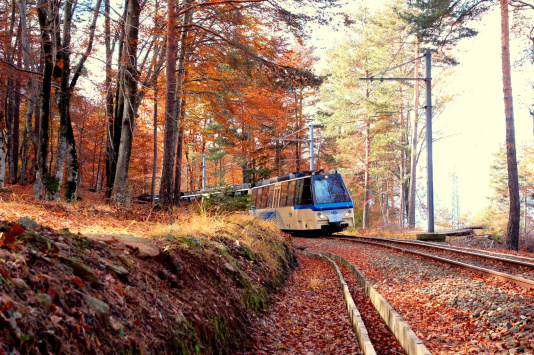 al-via-il-treno-del-foliage-un-viaggio-lento-tra-le-sfumature-dautunno