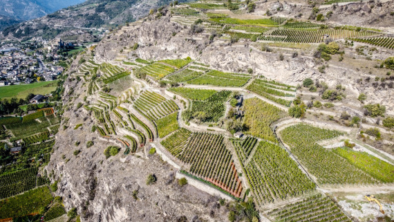 il-paesaggio-terrazzato-delle-alpi-patrimonio-da-valorizzare-e-conservare