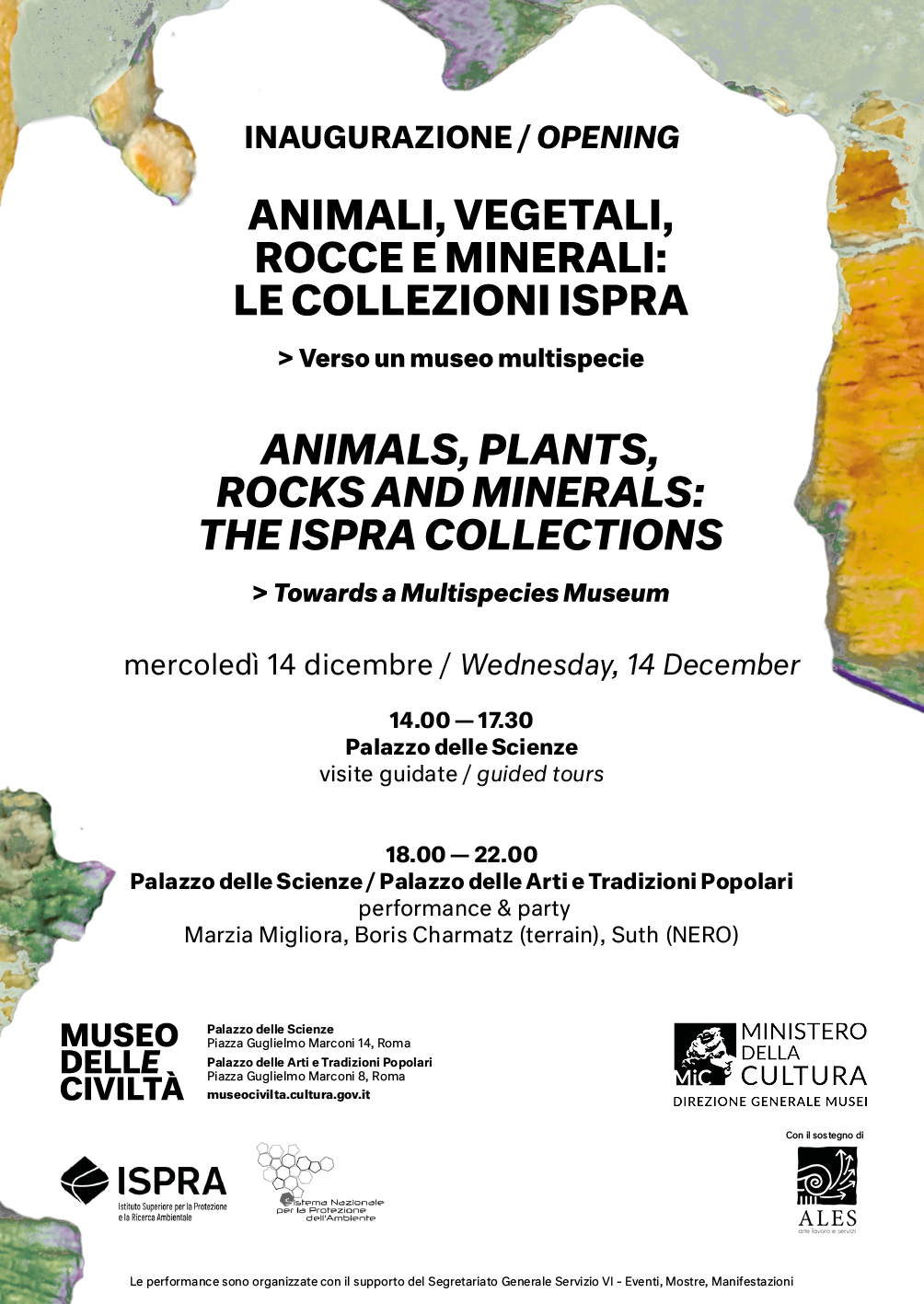 museo-delle-civilta-animali-vegetali-rocce-e-minerali