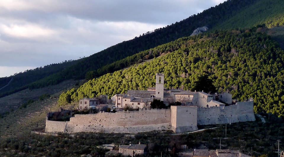 umbria-piantati-gli-ulivi-della-rinascita