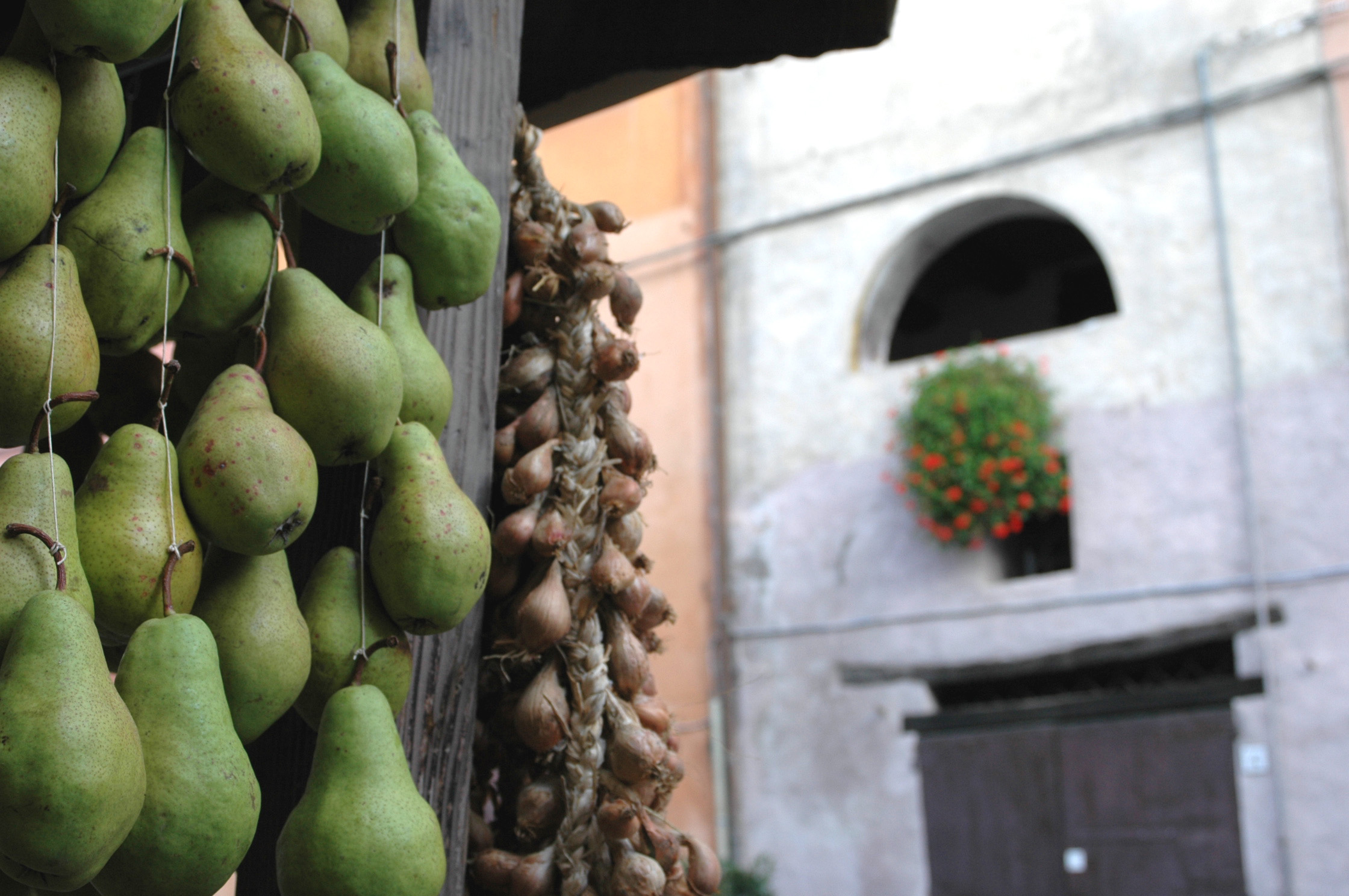 novembre-molto-gustoso-sotto-i-3-colli-di-brisighella