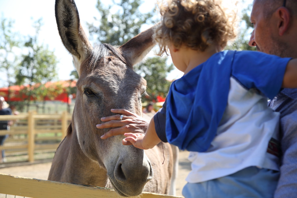 successo-per-il-rural-festival-delle-famiglie