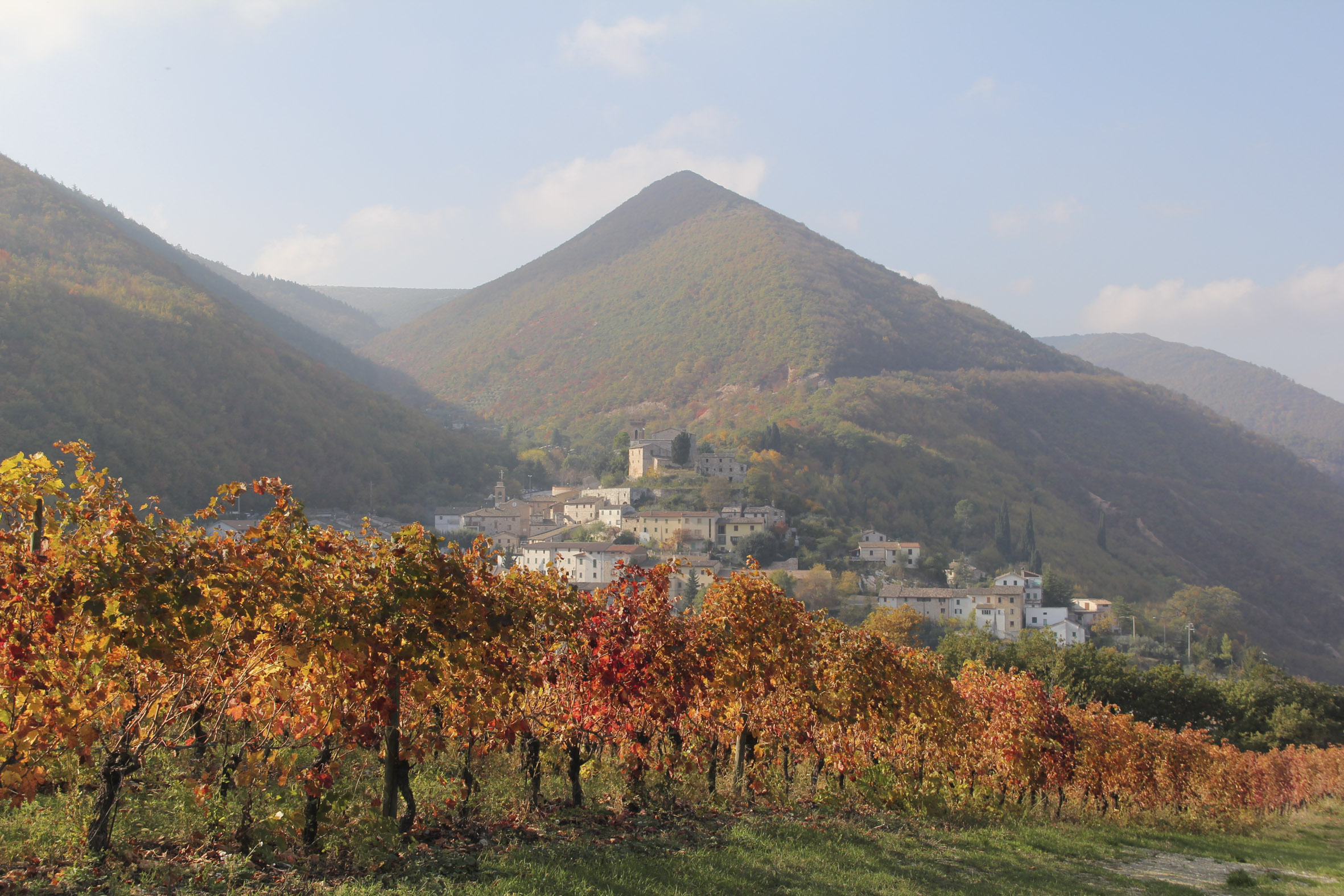 appassimenti-aperti-viaggio-nelle-marche