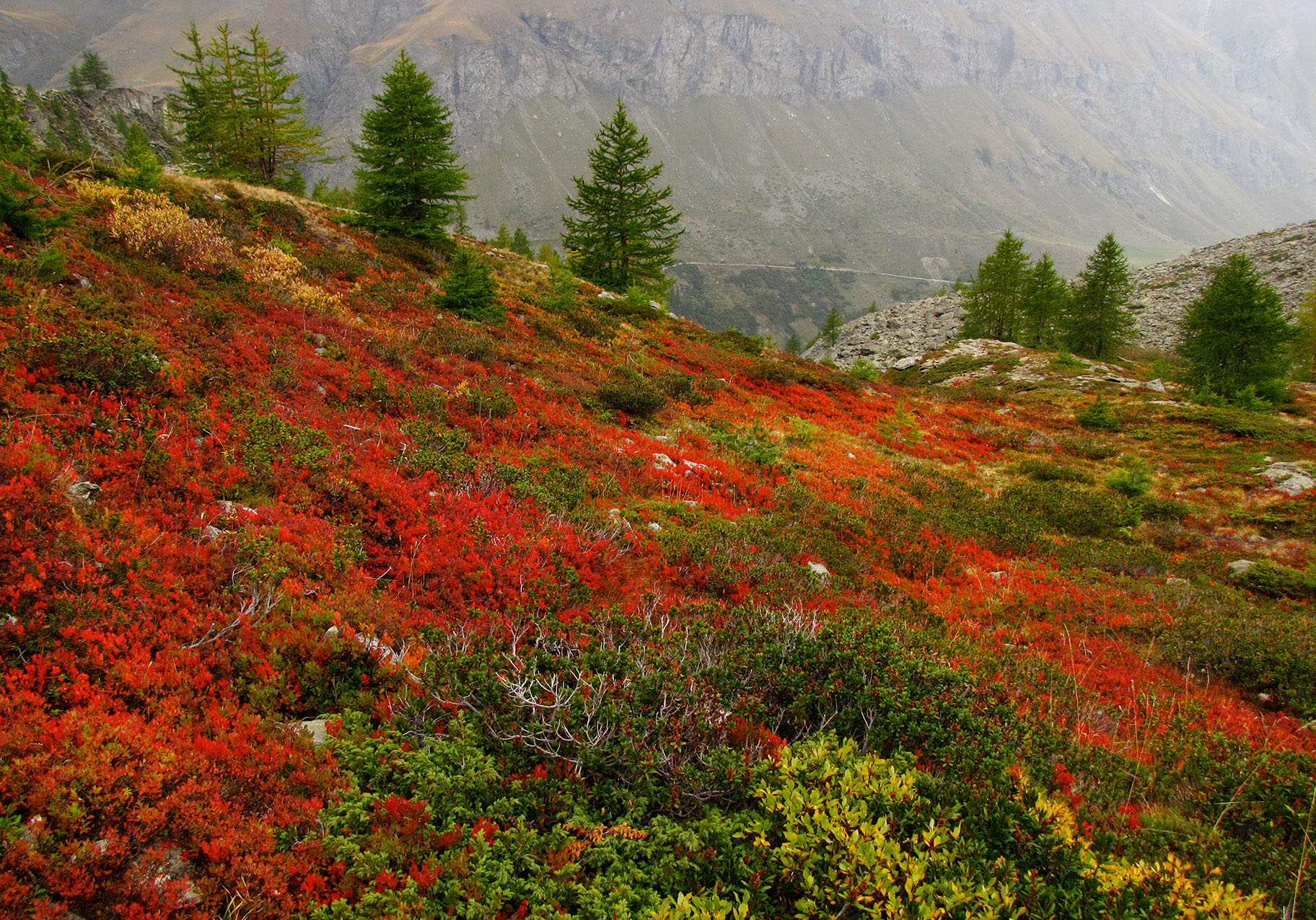 parco-nazionale-gran-paradiso-le-attivita-imperdibili