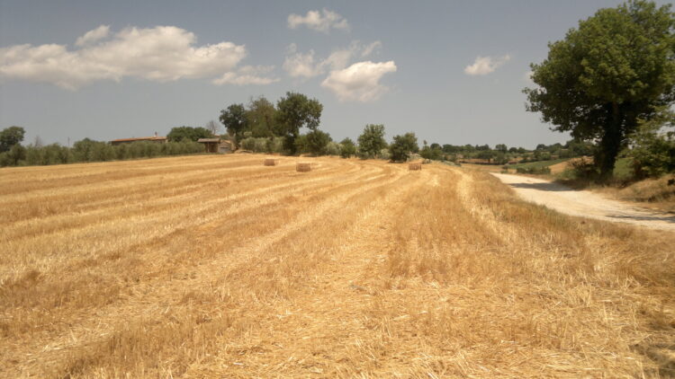 convegno-“agricoltura-genomica-e-prevenzione-dei-tumori”