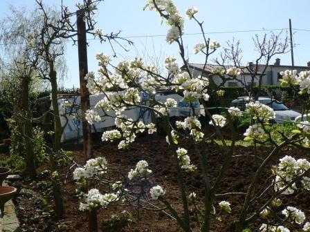 agriturismo-grande-successo-tra-gli-italiani