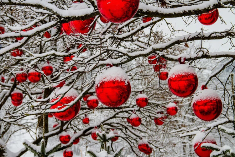 Albero di Natale