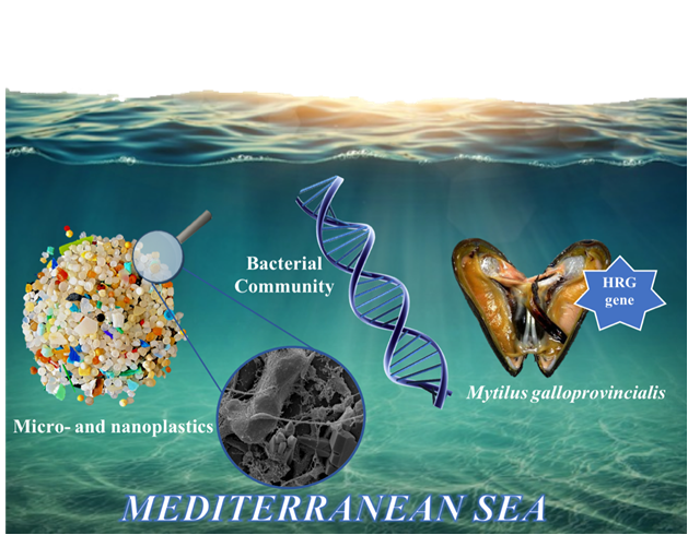 il-viaggio-dei-batteri-lungo-la-catena-alimentare-i-risultati-di-uno-studio-della-cattolica