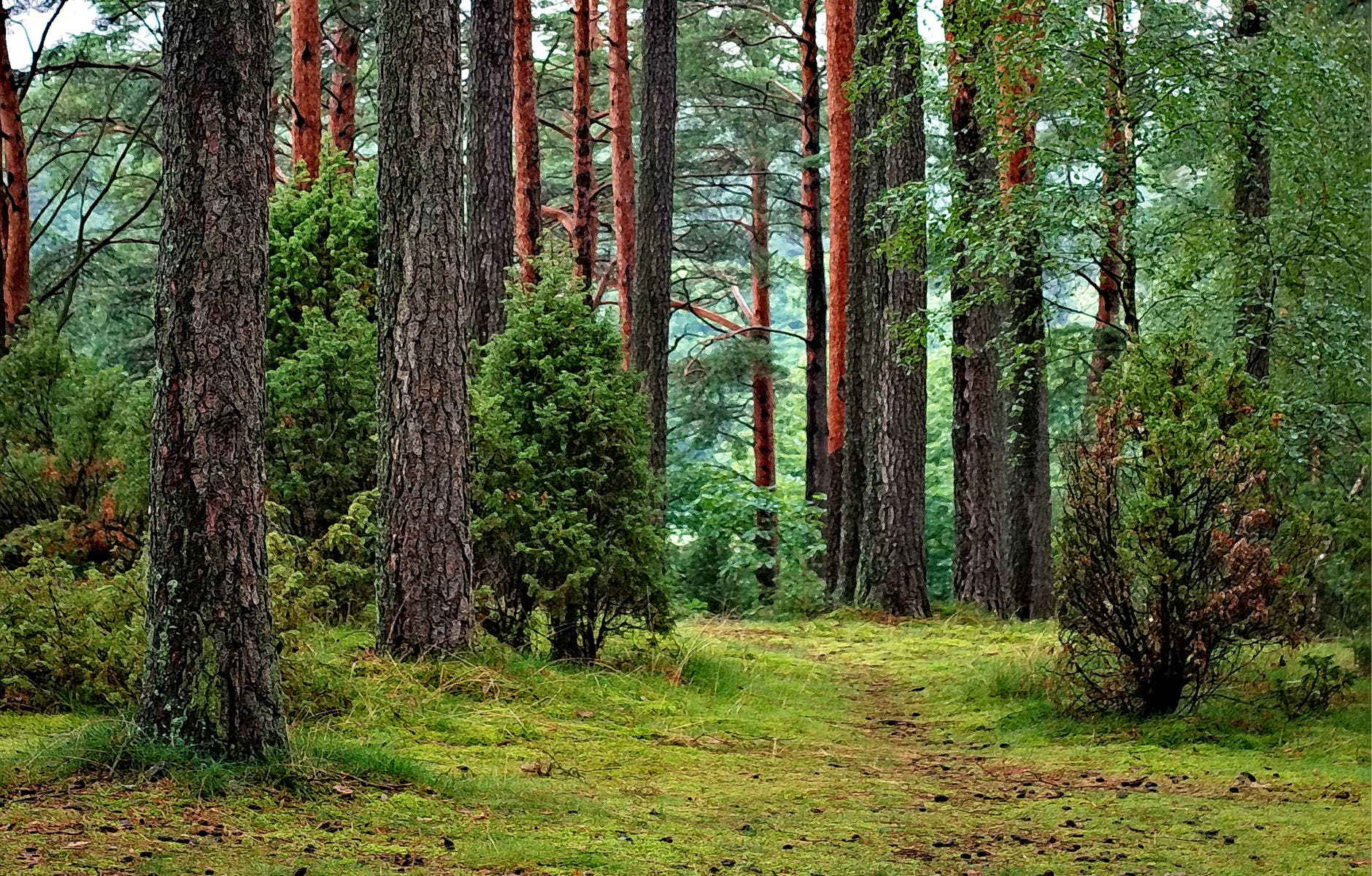 coronavirus-per-wwf-e-loccasione-giusta-per-un-nuovo-rapporto-tra-citta-e-natura