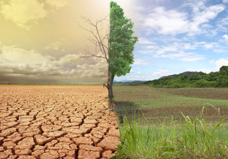 il-cambiamento-climatico-si-studiera-a-scuola