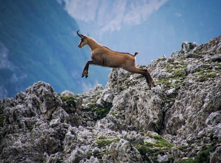 il-parco-nazionale-gran-paradiso-riceve-il-green-travel-award-2022