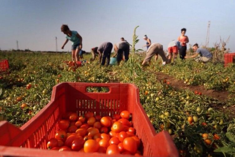 caporalato-firmato-il-protocollo-congiunto