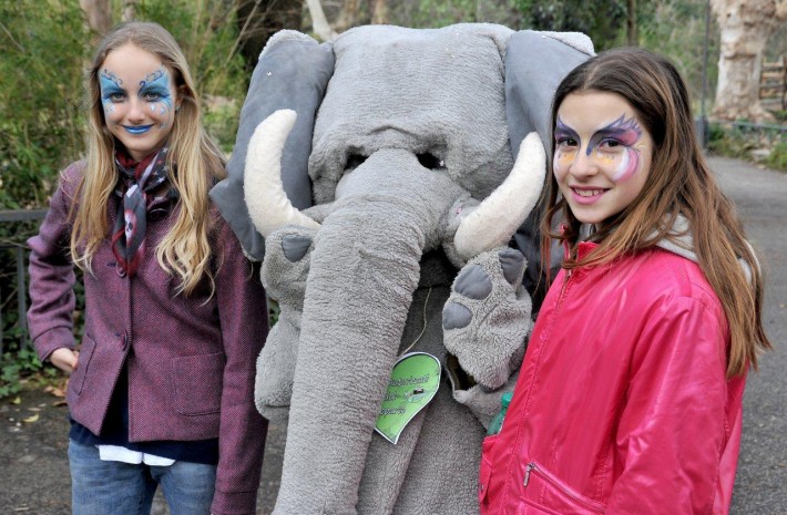 carnevale-giraffoso-al-bioparco-di-roma