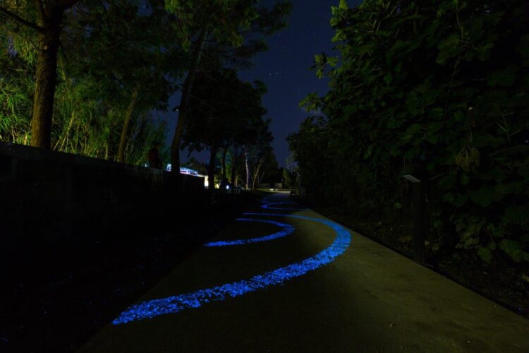 ai-laghi-nabi-la-pista-ciclabile-luminescente-piu-lunga-del-mondo