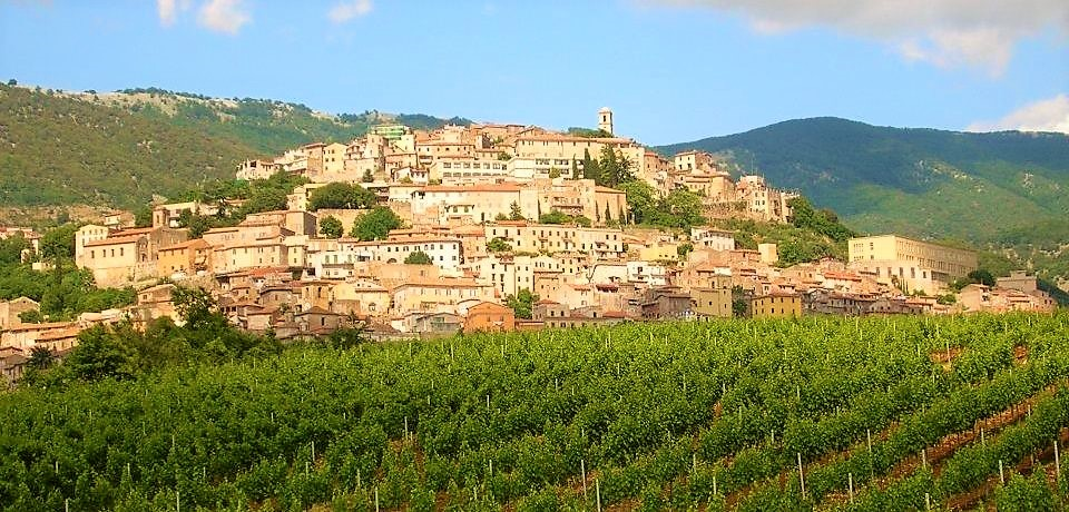 nasce-il-consorzio-volontario-per-la-tutela-e-la-valorizzazione-dei-vini-doc-cori