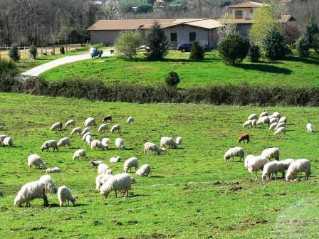 L'indagine Ismea sull'agriturismo in Italia e all'estero