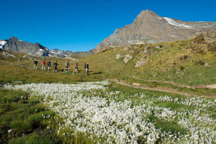 il-parco-nazionale-gran-paradiso-ottiene-la-carta-europea-del-turismo-sostenibile