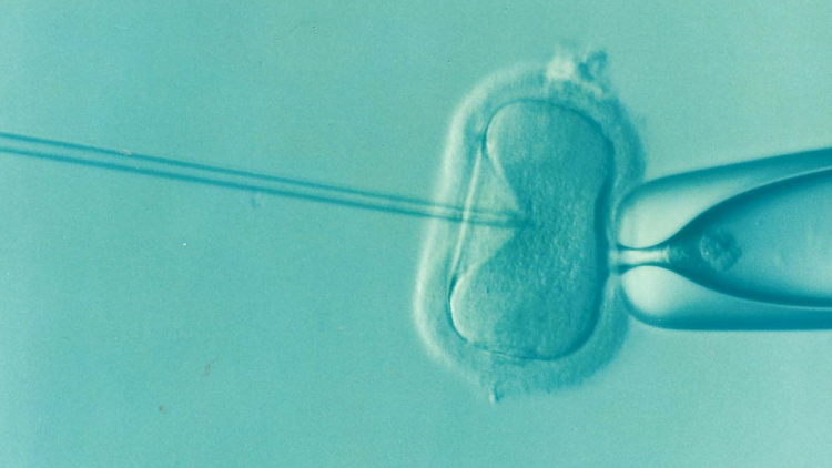 il-cambiamento-climatico-influenza-la-fertilita-maschile