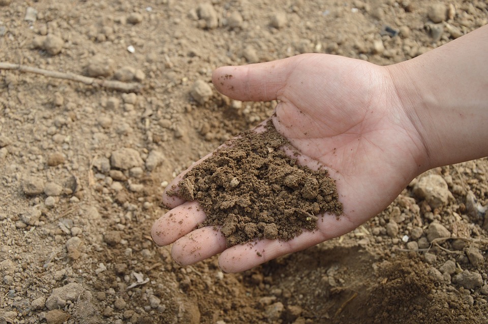 calano-di-1-terzo-acquisti-di-fertilizzanti-semine-autunnali-a-rischio