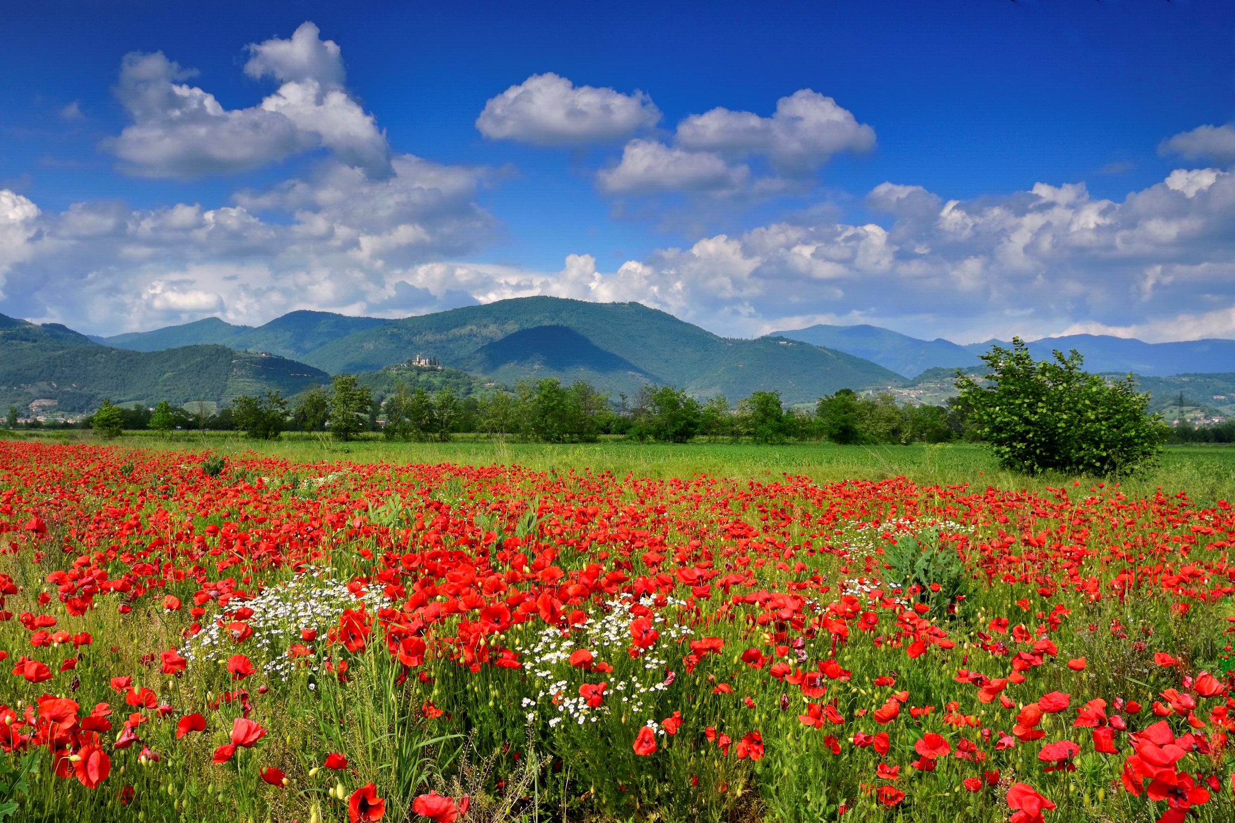 primavera-franciacorta-da-scoprire