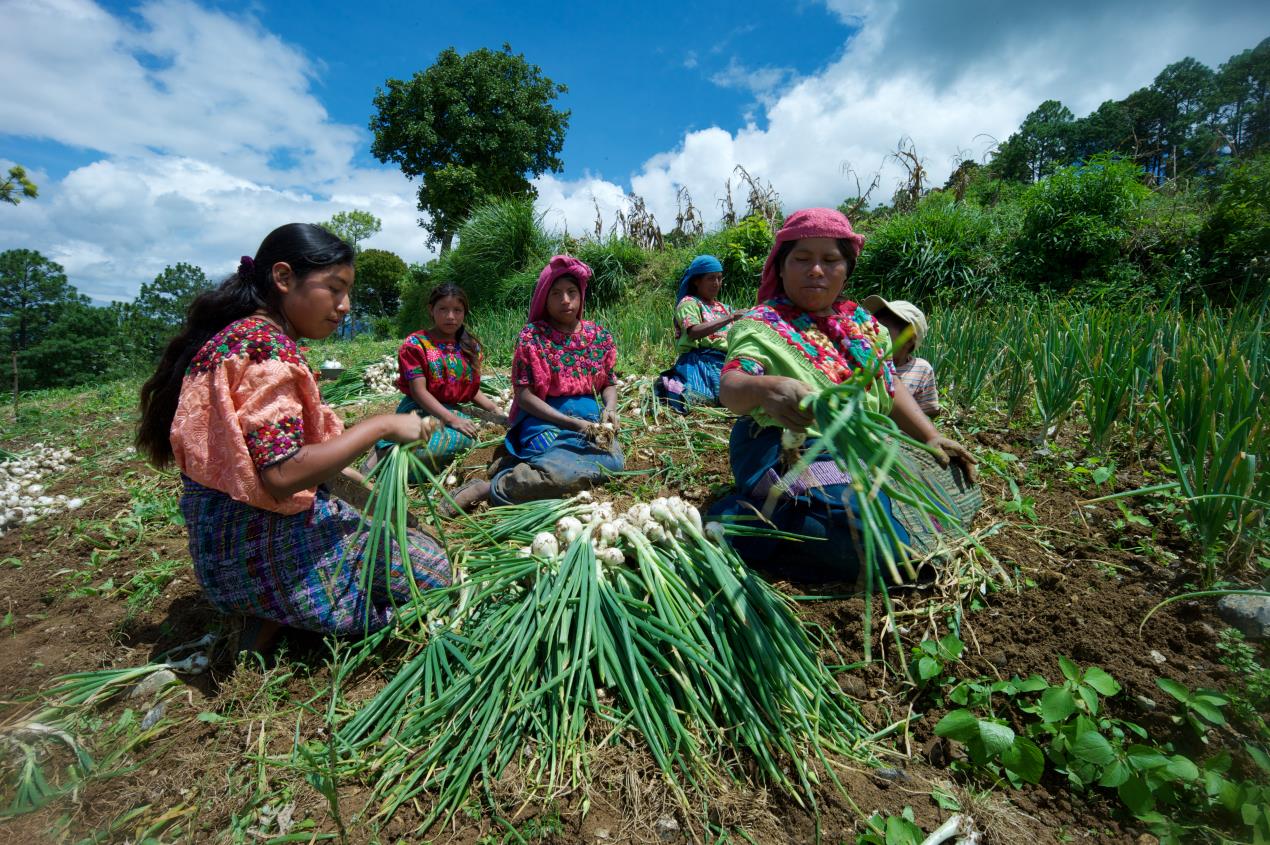 ifad-i-sistemi-alimentari-mondiali-vanno-trasformati-completamente