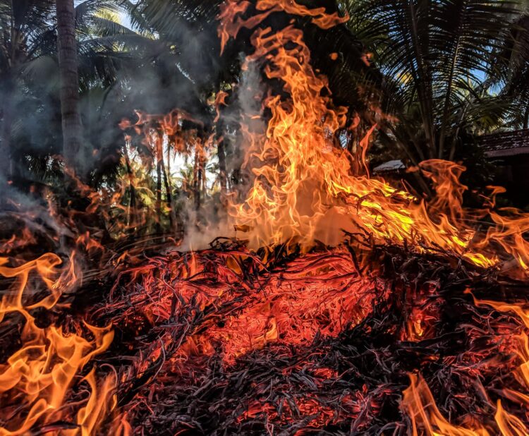 Gli incendi boschivi di questa torrida estate