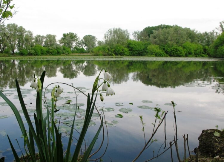 parco-adda-sud-inaugurazione-del-percorso-naturalistico