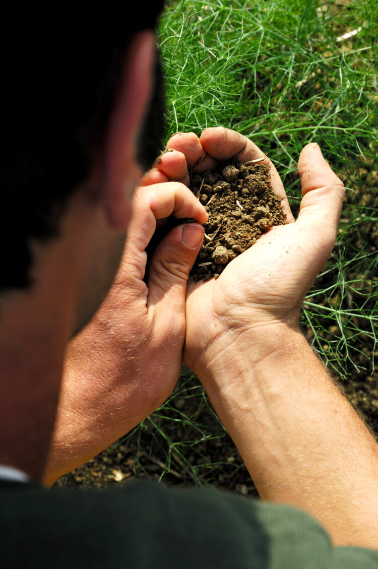 giornata-mondiale-del-suolo-in-europa-lerosione-costa-12-miliardi--perdita-di-prodotti-agricoli