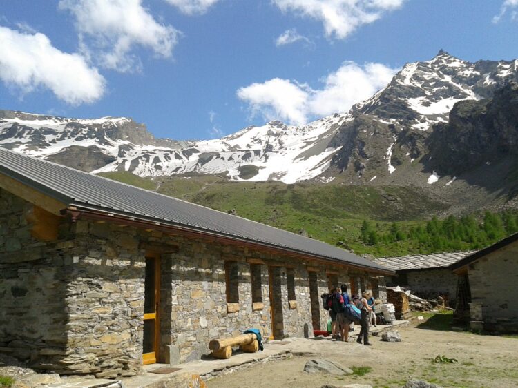 torna-gran-paradiso-dal-vivo