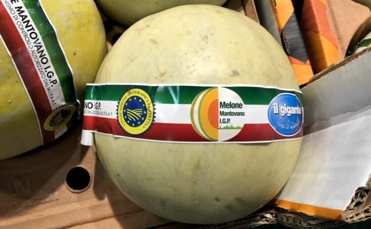 melone-mantovano-igp-annata-molto-soddisfacente