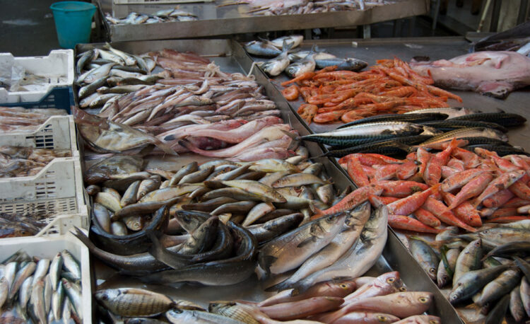 pesca-mondiale-lallarme-del-rapporto-fao