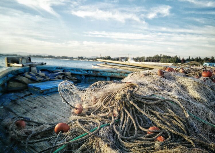 aiuti-di-stato-a-pmi-di-pesca-e-agricoltura-ok-dalla-commissione