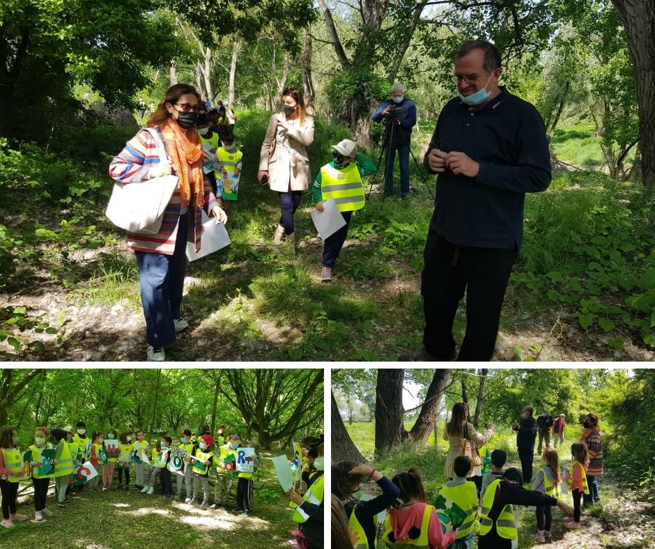 polesine-una-scuola-nel-bosco