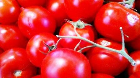 pomodoro-cala-la-produzione-in-italia