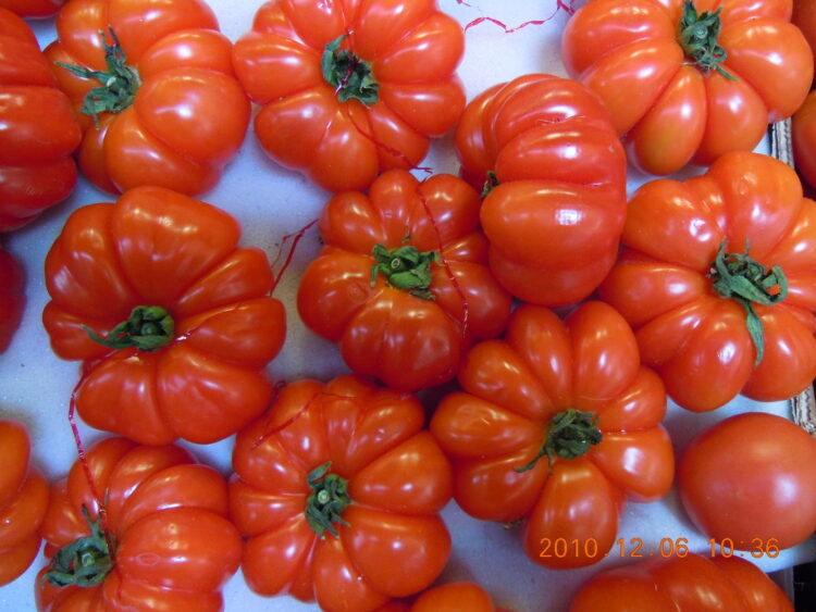 pomodoro-litalia-verso-la-clausola-di-salvaguardia