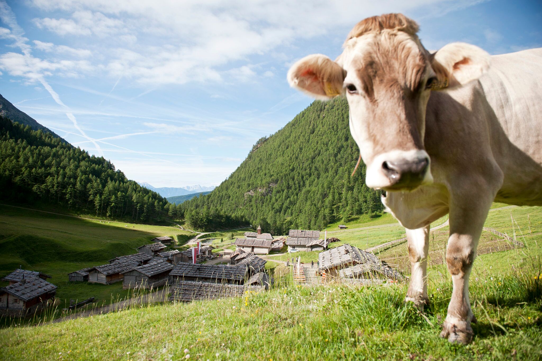 il-sentiero-del-latte-in-val-pusteria