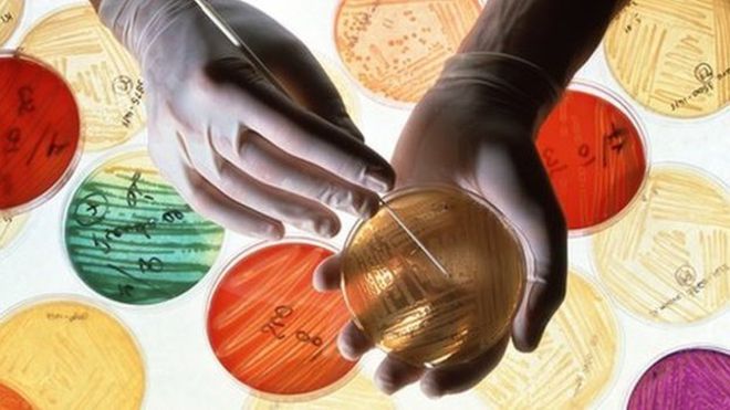 a-pisa-si-studia-la-resistenza-agli-antibiotici