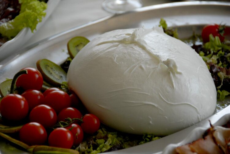 ttip-differenze-di-vedute-su-dop-e-mozzarella