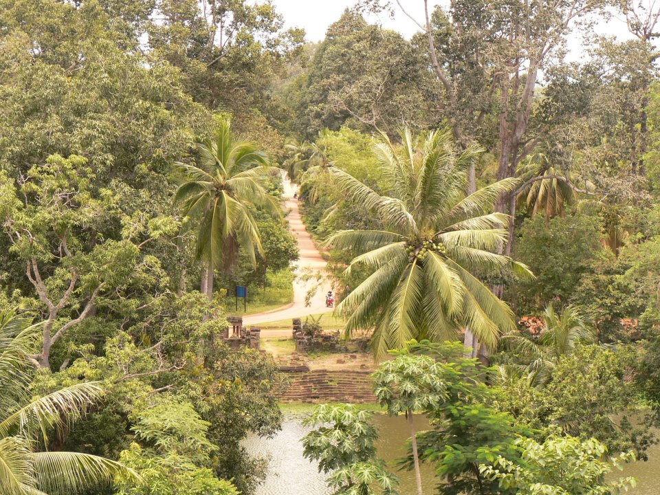 india-al-via-il-piano-di-riforestazione-nazionale