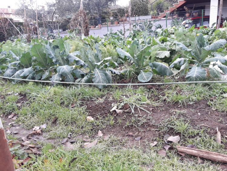 fondo-di-solidarieta-in-agricoltura-si-cambia