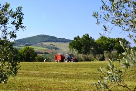 e-possibile-una-“fertilizzazione-sostenibile”