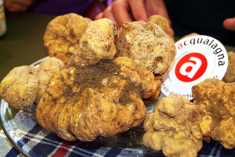 acqualagna-la-52esima-edizione-della-fiera-del-tartufo