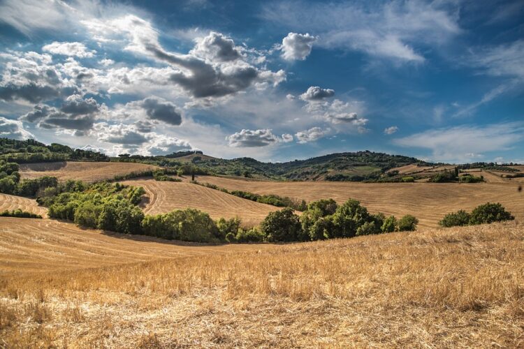 Partita l'asta dei terreni