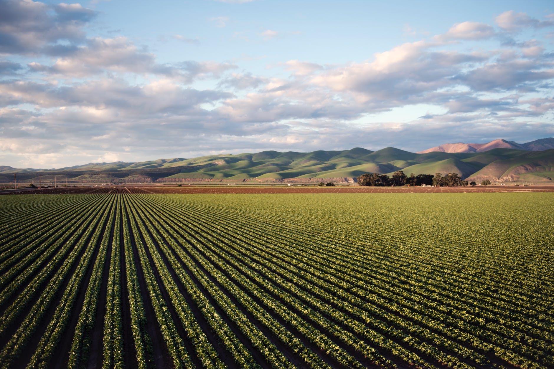 terreno-agricolo-scende-il-valore